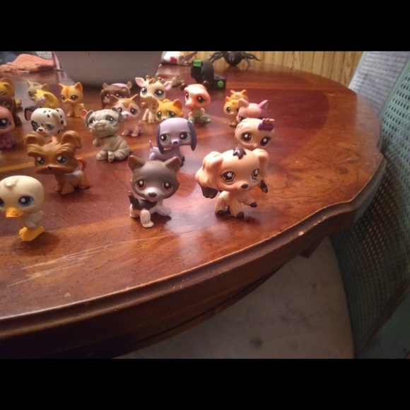 Vintage my little pet shop - Picture 3 of 8